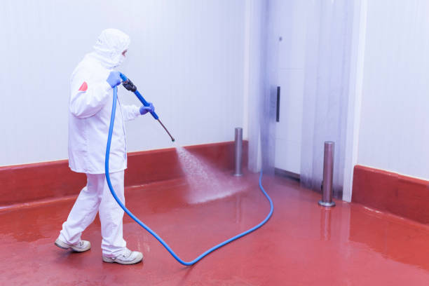 Spring Cleaning in Brewerton, NY